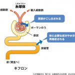 患者のつぶやき~糖尿病診察まであと3日になってしまった!